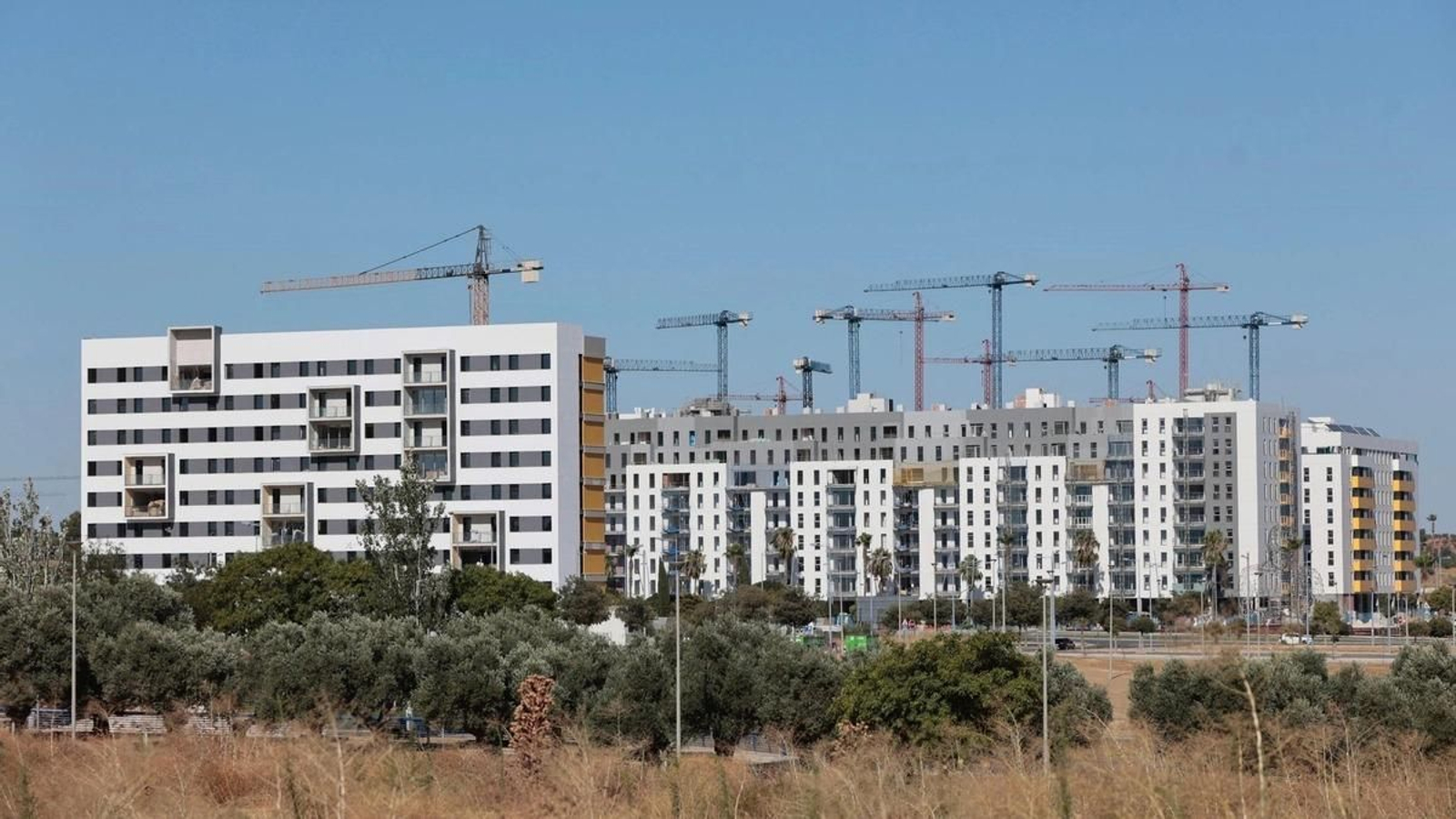 Alarma en el mercado inmobiliario! Descubre por qué los precios de la vivienda en España se disparan mientras el resto de Europa baja