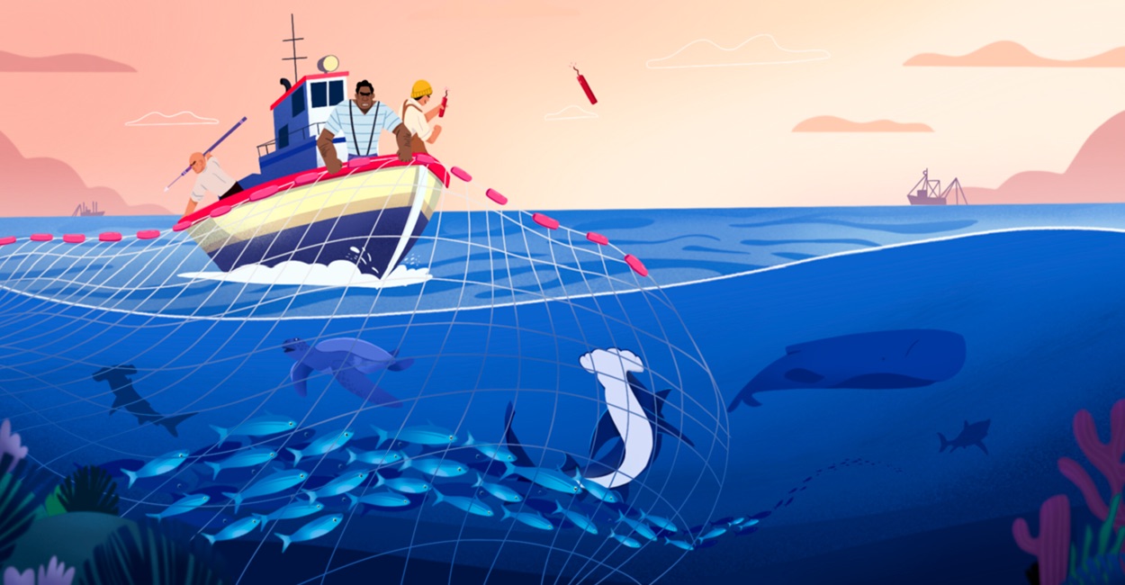 Pescar en la Oscuridad: Cómo la Pesca Ilegal en África Occidental Está Destruyendo Ecosistemas y Economías Locales, y España Se Ve Implicada