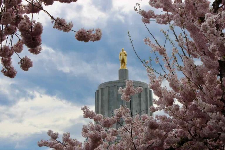 Noticias en Español’: así quiere Oregon Capital Chronicle llegar a miles de hispanos en su propio idioma